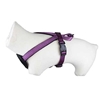 Picture of CLASSIC VIOLET DOOGY HARNESS